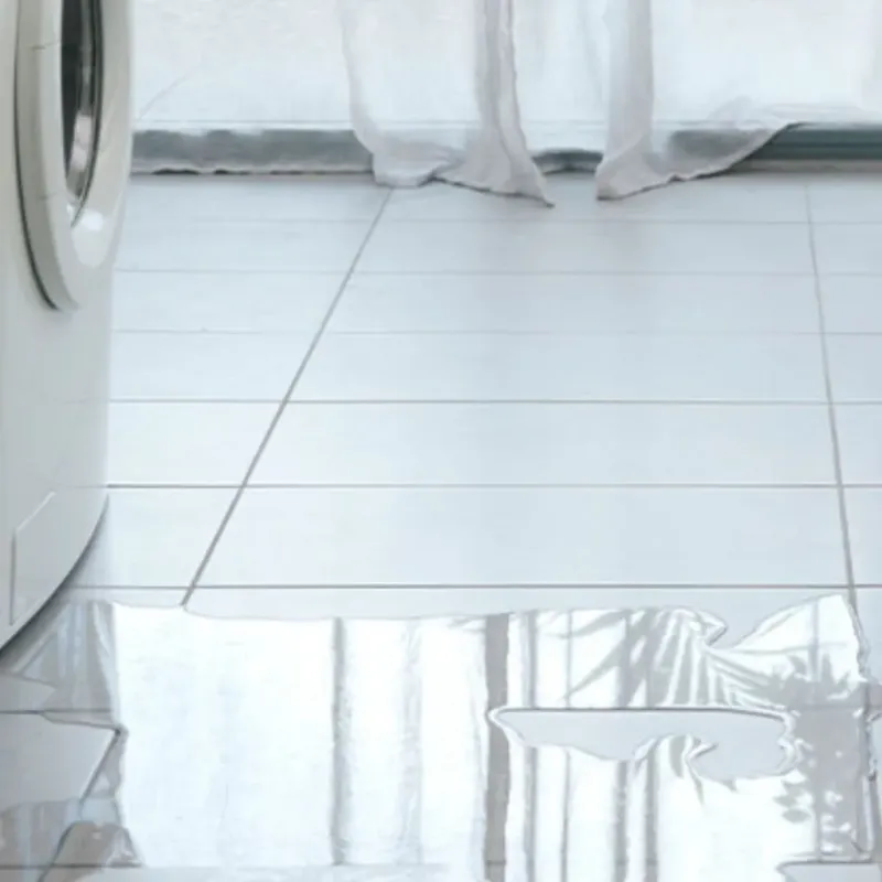 Appliance Leak Cleanup in Catoosa County, GA