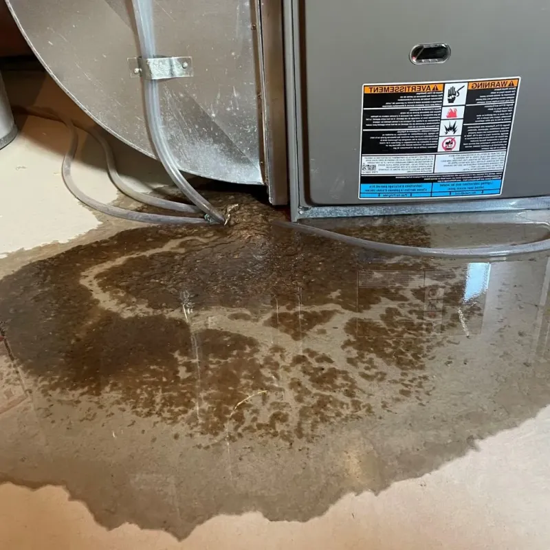 Pipe Burst and Leak Restoration in Catoosa County, GA